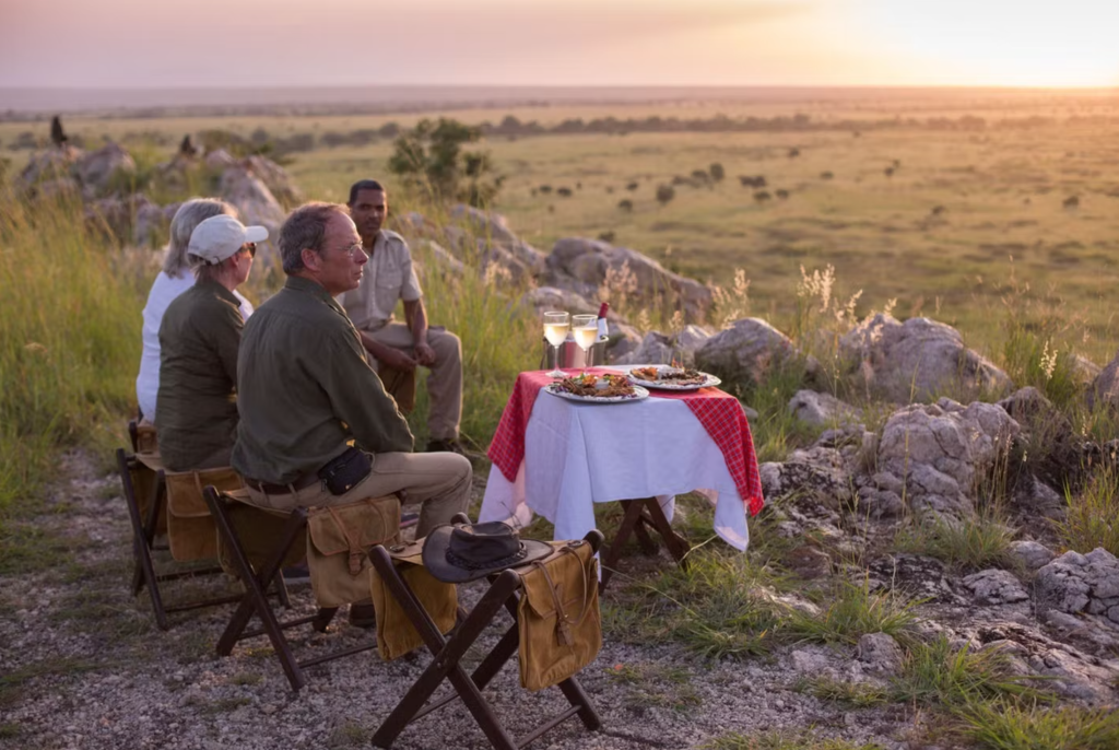 What Does an African – Tanzania Safari Cost?