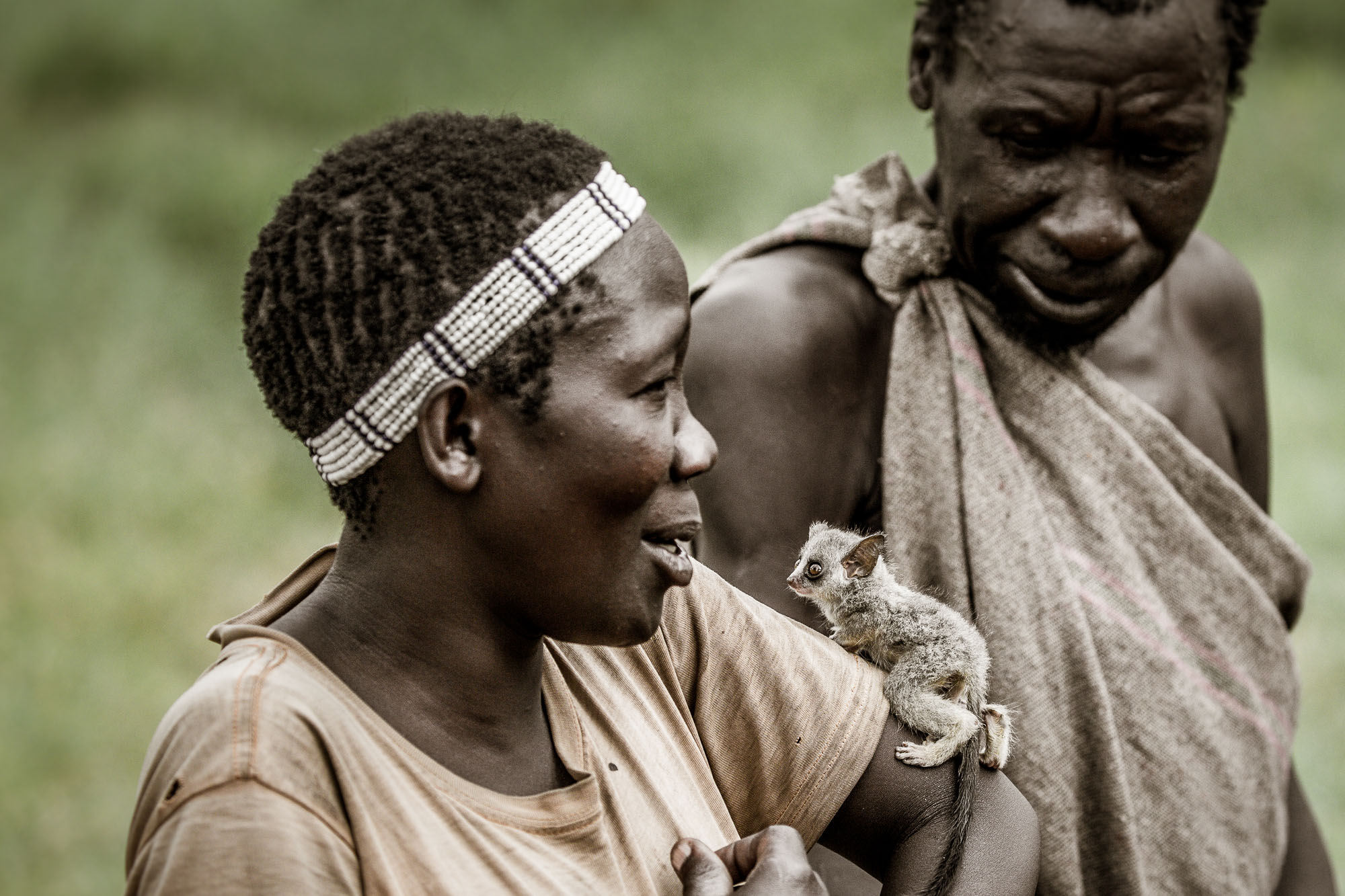 Hadzabe Bushmen Experience