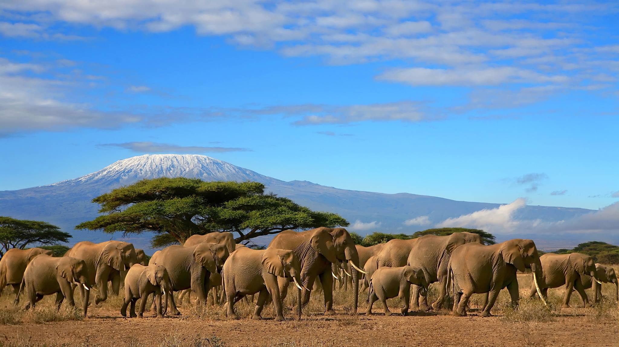 13-Day Luxury Tanzania Safari