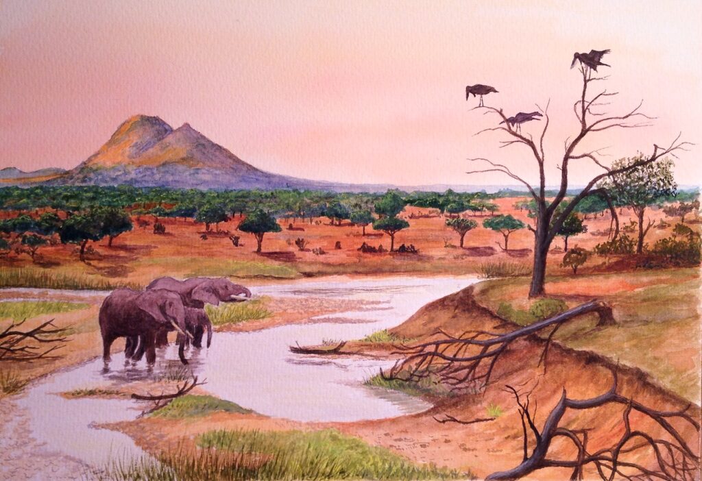 Tanzania private safaris and art therapy, Tanzania Private Safari