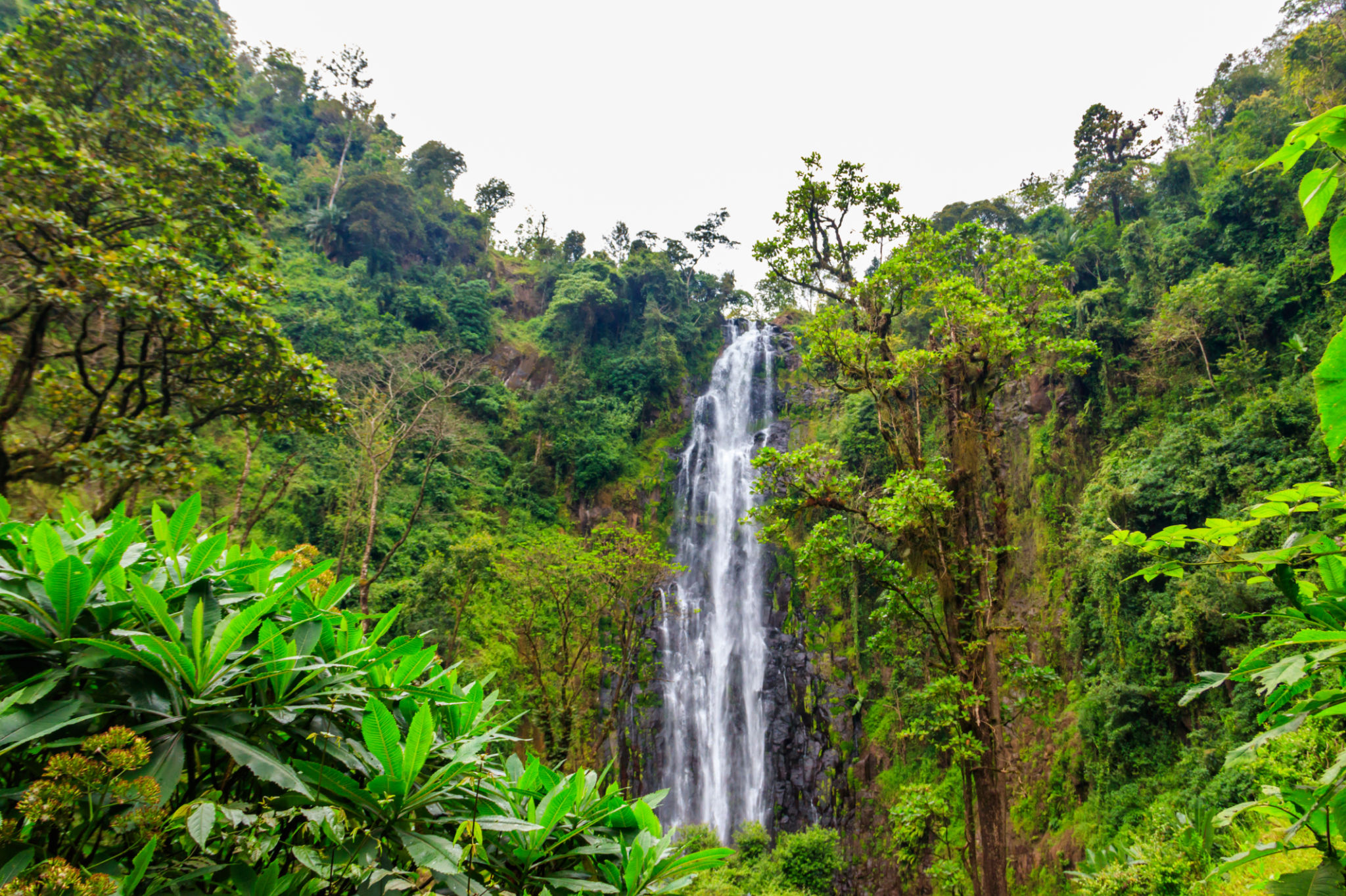 Materuni Waterfalls, Coffee & Chemka Hot Springs