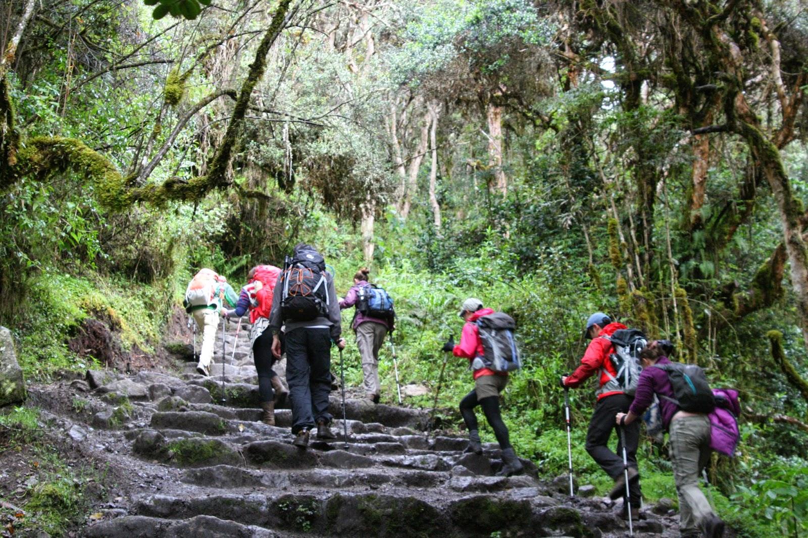 Mount Kilimanjaro Day Hike