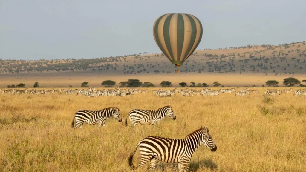 7-Day Luxury Tanzania Safari