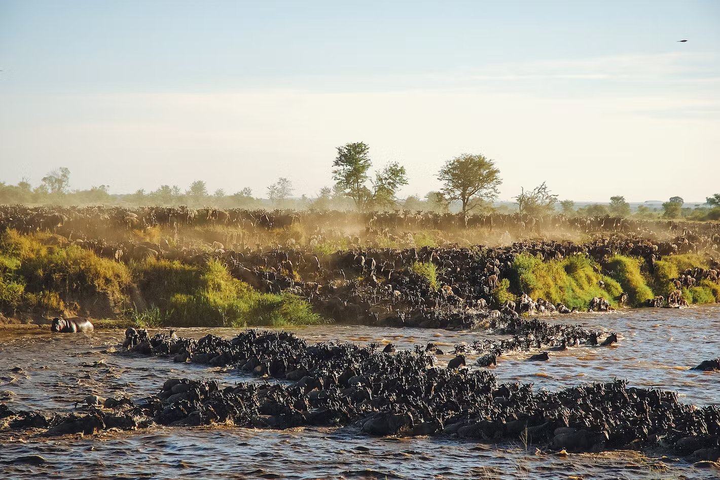 Great Migration
