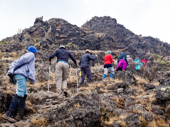 The Shira Plateau – A Journey Through Time and Altitude with I Artist Adventures