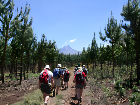 From Rainforests to Summits – Highlights of the Machame Route