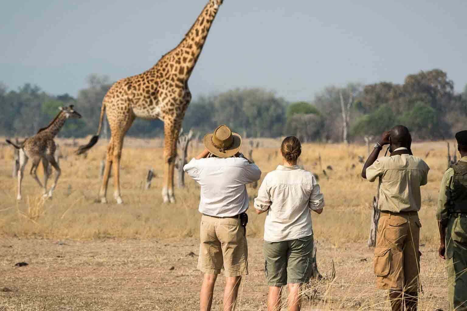 3 Days 2 Nights Safari - Tarangire, Lake Manyara and Ngorongoro