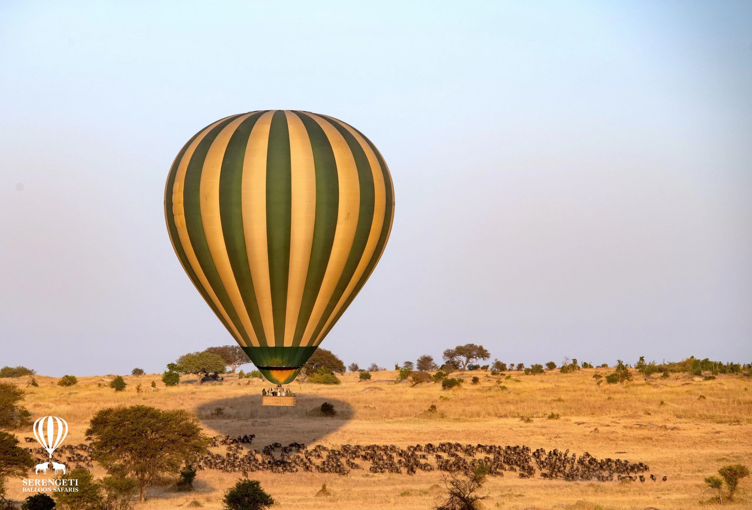7-Day Serengeti Impresive Migration Tour