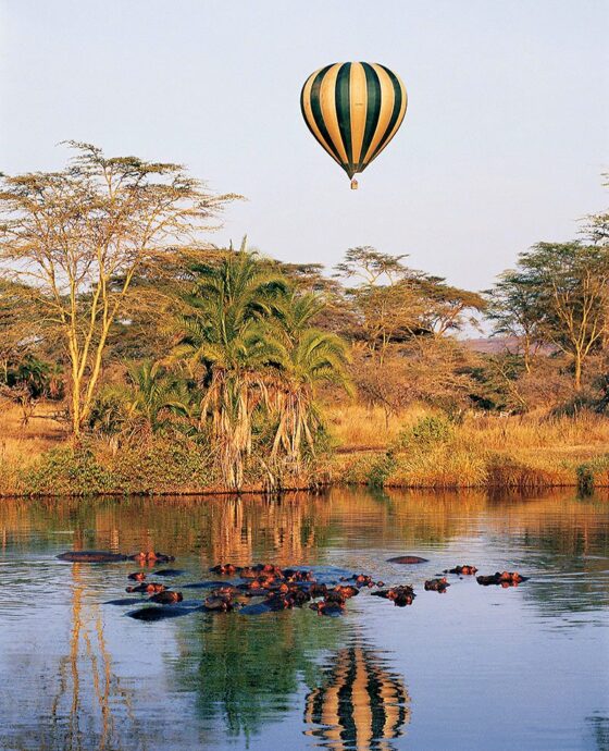 7 Days Tanzania Safari: Highlights