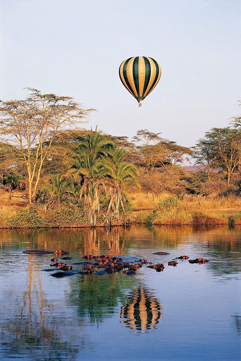 4 Days 3 Nights Safari - Lake Manyara, Ngorongoro Crater, Tarangire, Bushman Tribe visit