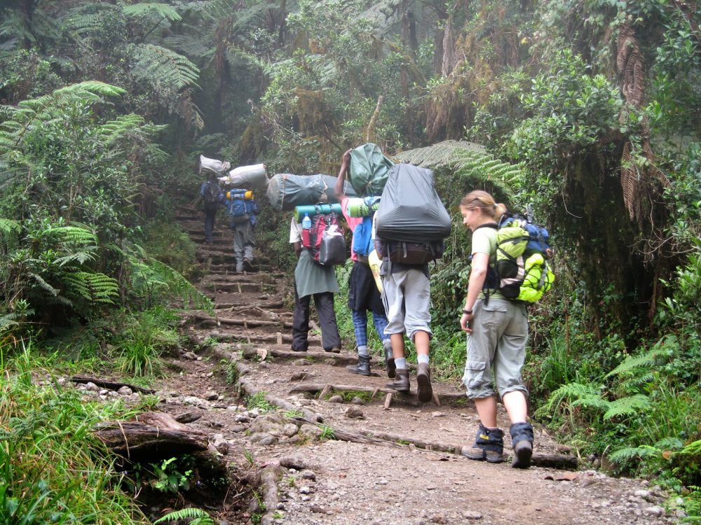 6 - 7 DAYS MACHAME ROUTE - Most scenic & popular. Good acclimatisation. Success rate: 88-95%