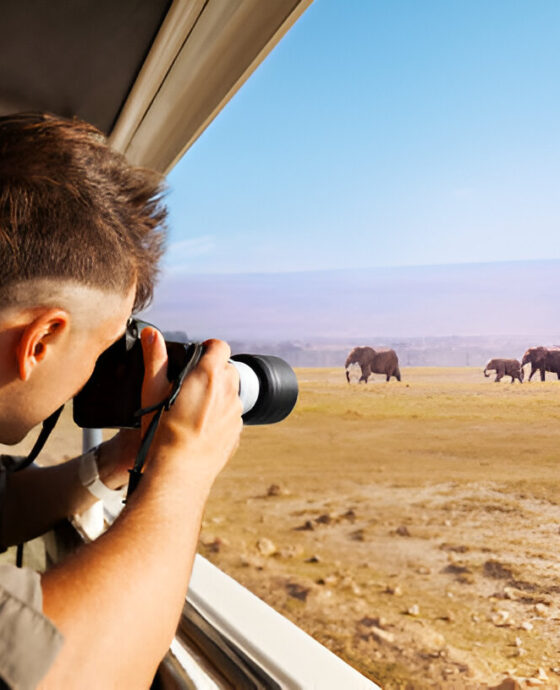 6 Days Best Tanzania Parks Safaris