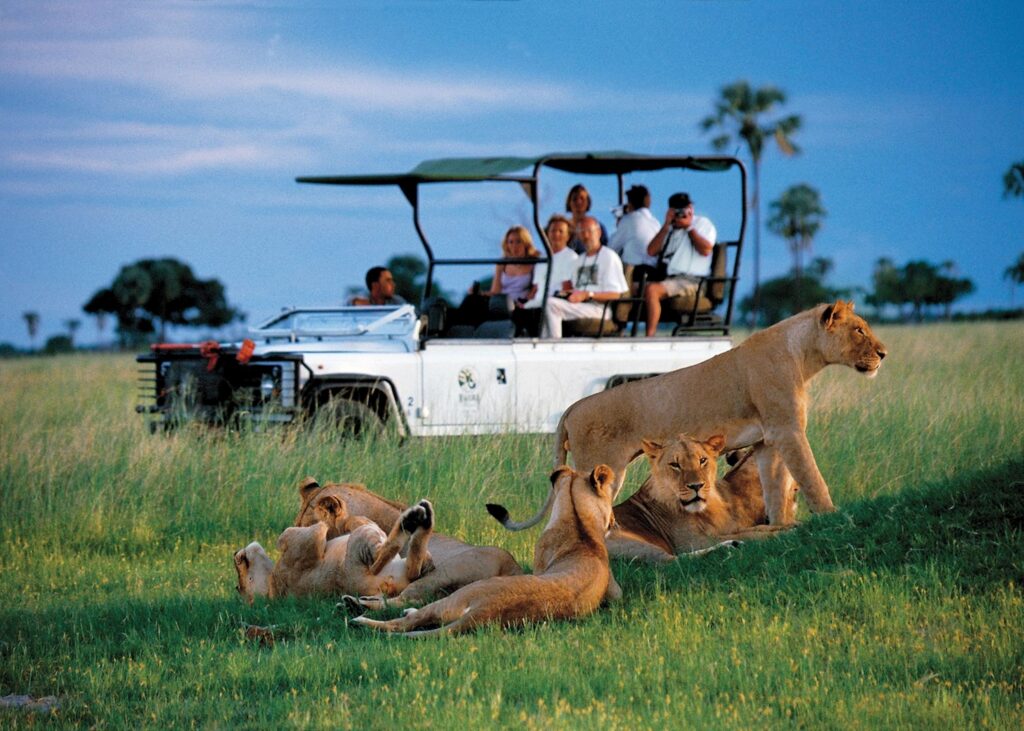 7-Day Unique Experience Safari
