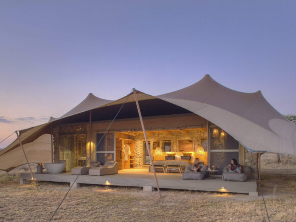 Top 5 Tips for Booking Your Safari Adventure with I artist Adventure