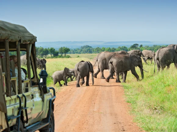 Tanzania’s Most Extraordinary Safari Experiences with I artist Adventure