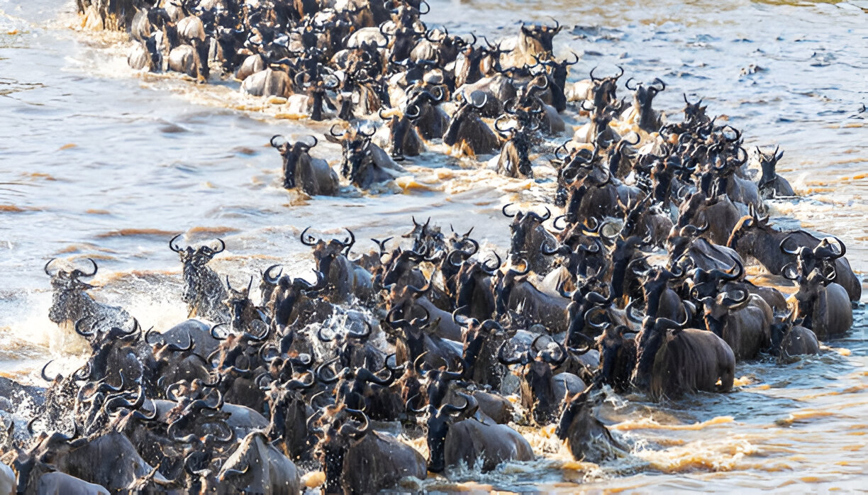 6-Day Private Tanzania Family Safari