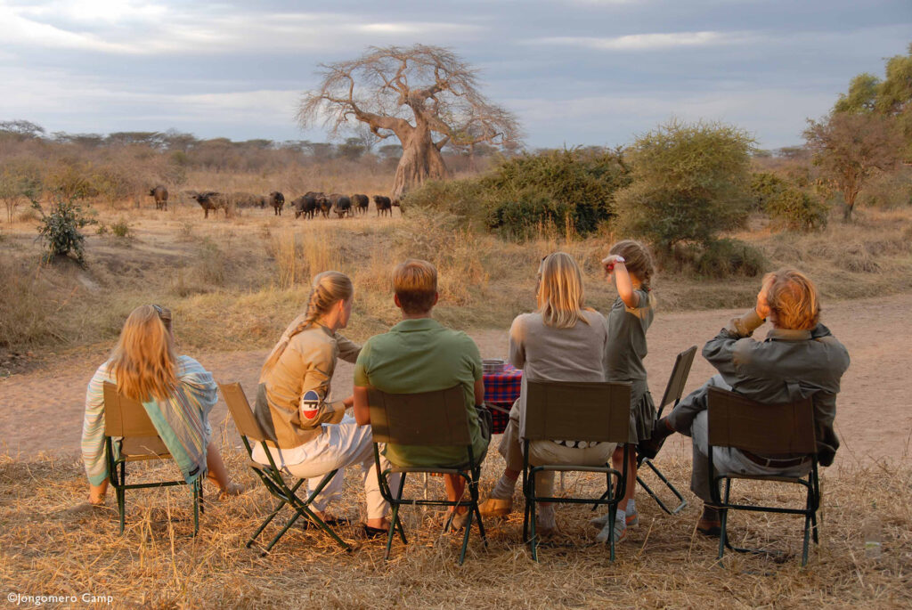 Reasons to Go on Safari in 2025 with iArtist Adventure
