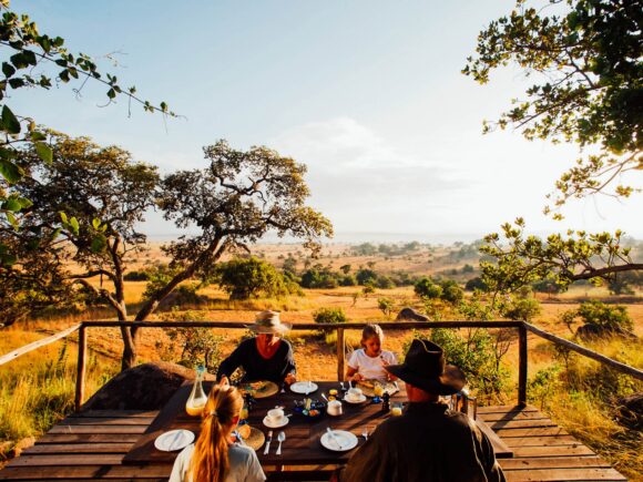 The Best Places to Go on Safari in 2025 with I artist Adventure