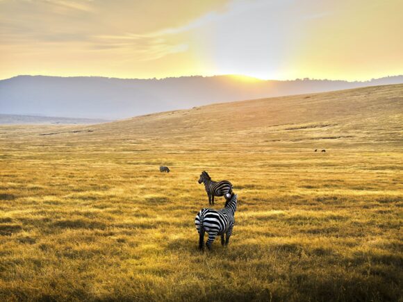 Iartist Adventure & Tanzania’s Eco-Tourism Summit 2025: Leading the Way in Sustainable Safaris