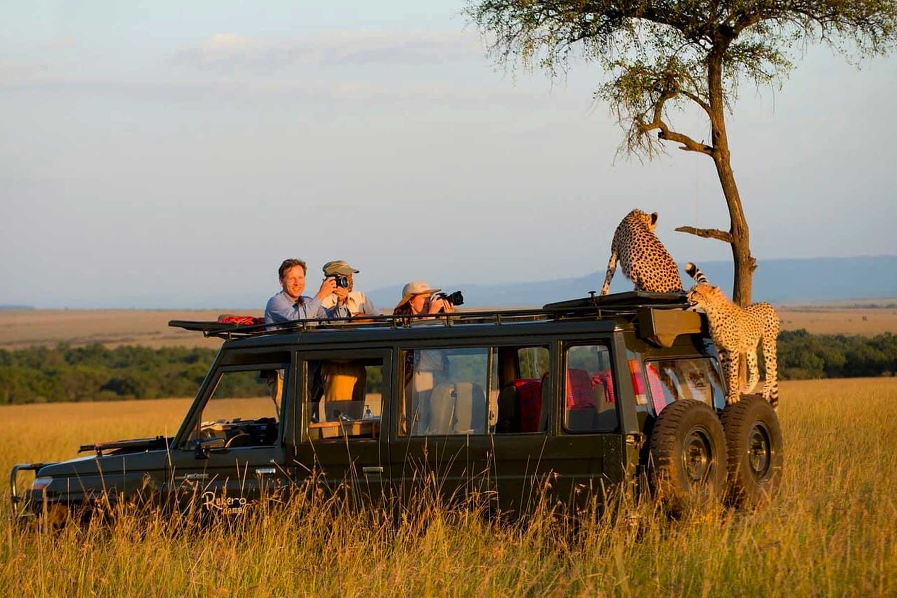 6-Day Tanzania Safari with Night Game Drive