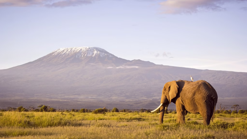 Top Things to See & Do in Tanzania’s Hidden Safari Gems