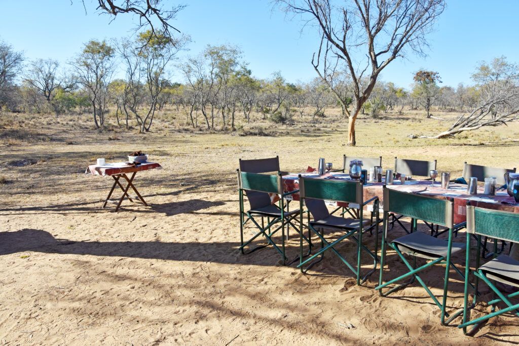 Best Tanzania Safari Lodges & Camps