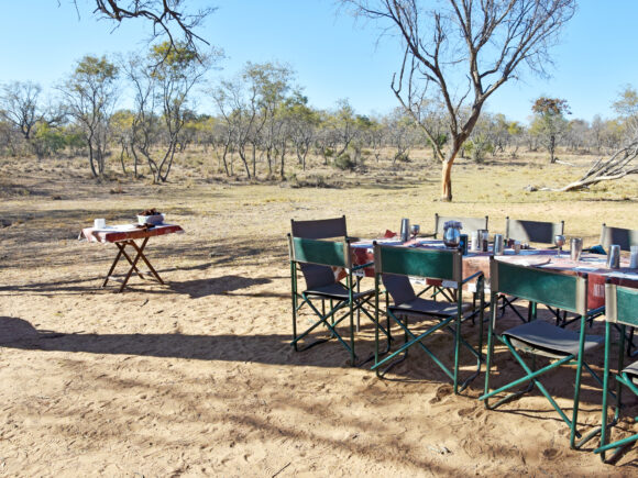 Best Tanzania Safari Lodges & Camps