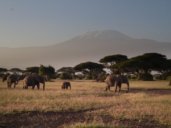 10 Best Tanzania Safari Tours