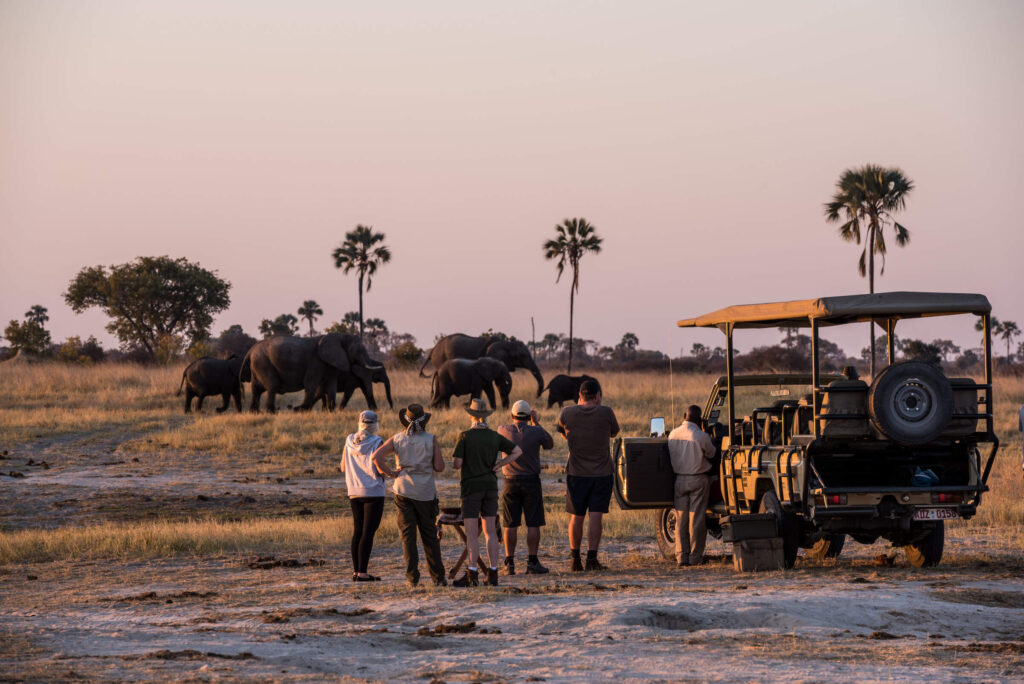 10 Best Tanzania Safari Tours: Our Top Picks