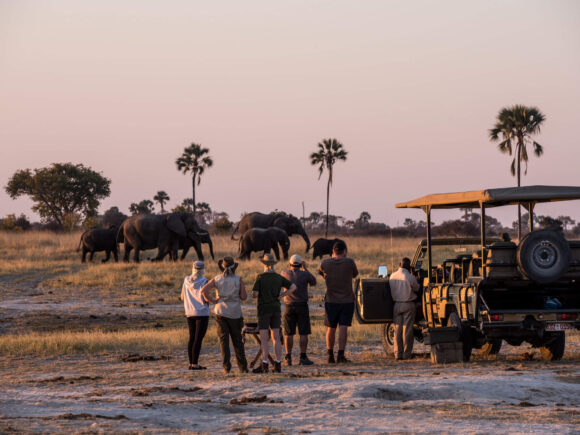 10 Best Tanzania Safari Tours: Our Top Picks