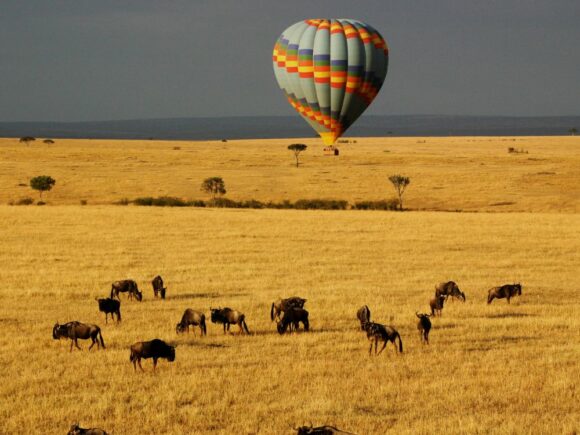 10 Best Tanzania Safari Tours with I Artist Adventure