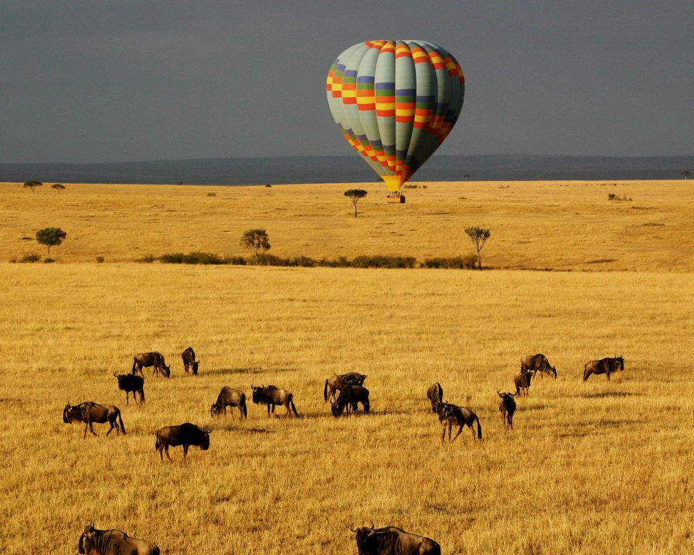 10 Best Tanzania Safari Tours with I Artist Adventure