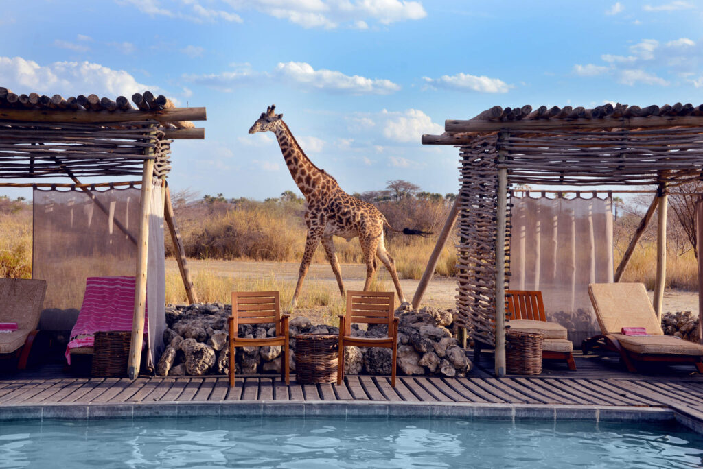 All to Yourself: The Best Exclusive-use Luxury Safari Properties in Tanzania