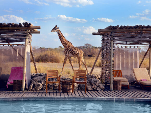 All to Yourself: The Best Exclusive-use Luxury Safari Properties in Tanzania