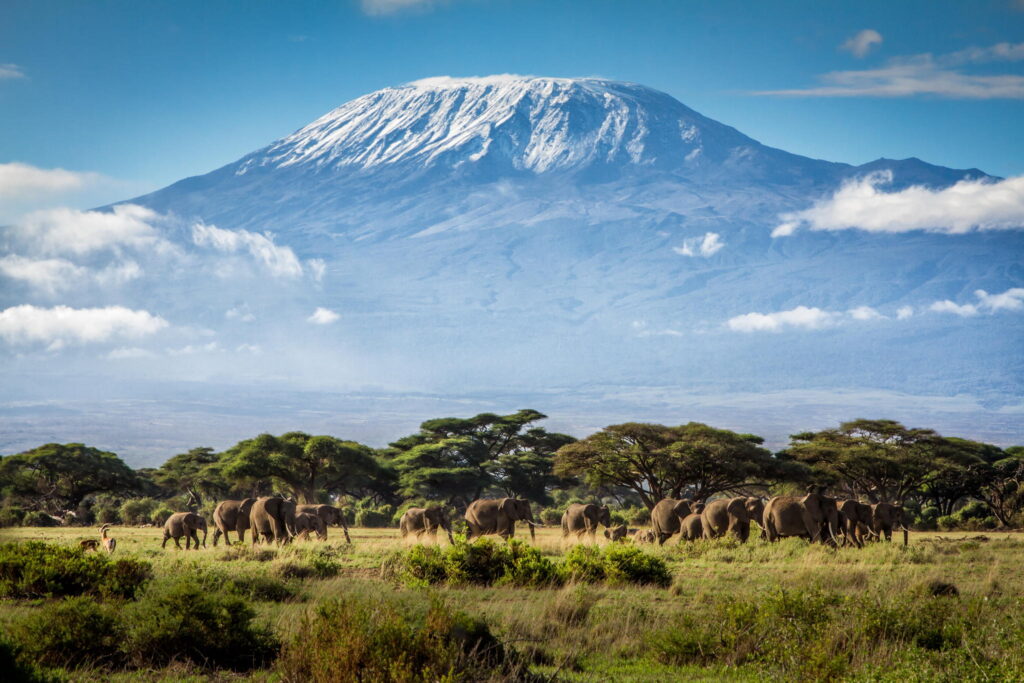 Is It Safe To Travel to Tanzania in 2025?