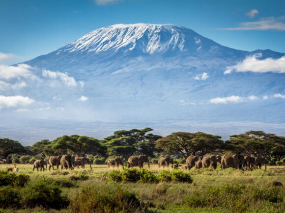 Is It Safe To Travel to Tanzania in 2025?