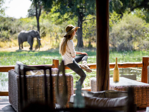 A Complete Guide to African Safaris for Solo Travellers with I Artist Adventure