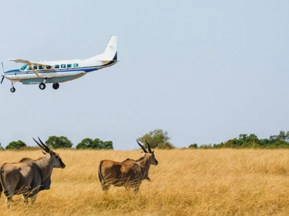 SkySafari – Tanzania 8-Day Luxury Air Safari