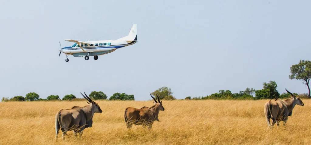 SkySafari – Tanzania 8-Day Luxury Air Safari