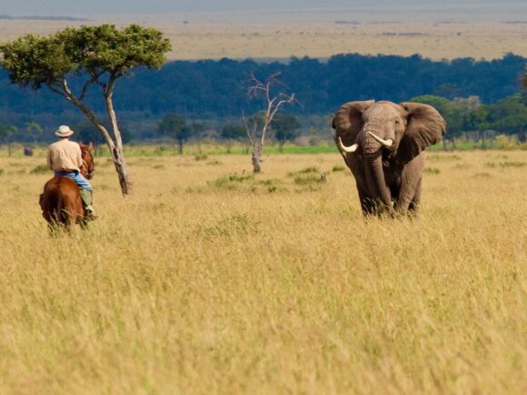 Kenya Horse Riding Safari 2025: Mara on Horseback