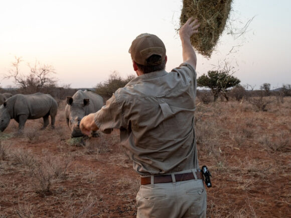 I Artist Adventure Partners with Tanzania Conservation Fund to Provide Three Exclusive Wildlife Conservation Experiences