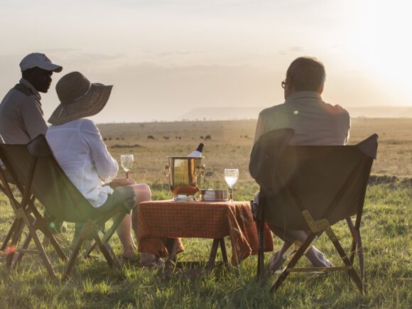 Our Best Safari Advice & Destinations for Seniors