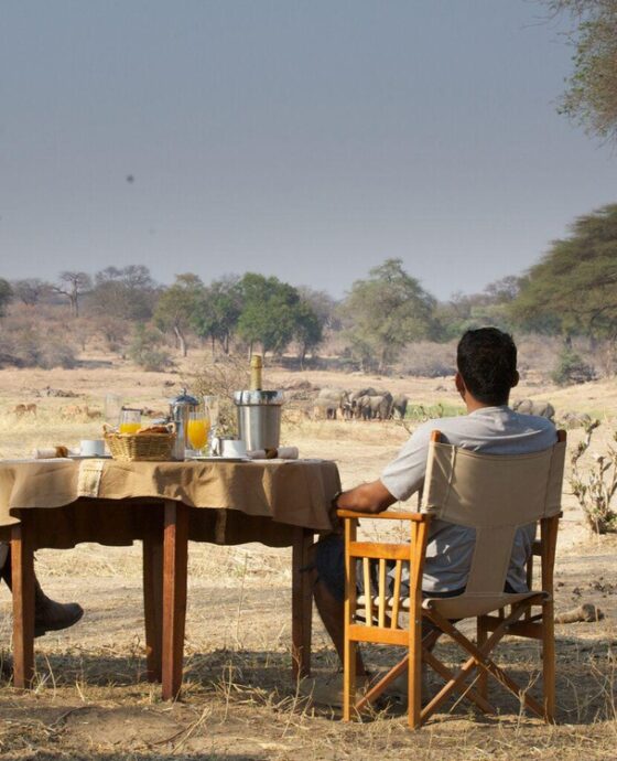 The Complete Guide to a Selous or Ruaha Safari