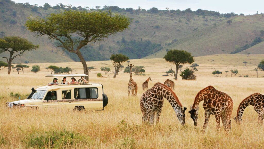 Sustainable Travel: The 5 Best Conservation Experiences in Tanzania