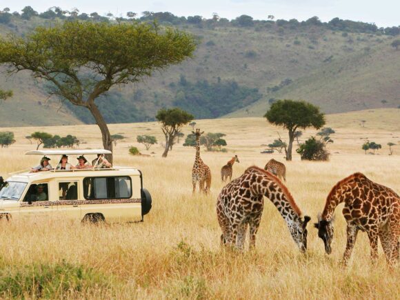 Sustainable Travel: The 5 Best Conservation Experiences in Tanzania