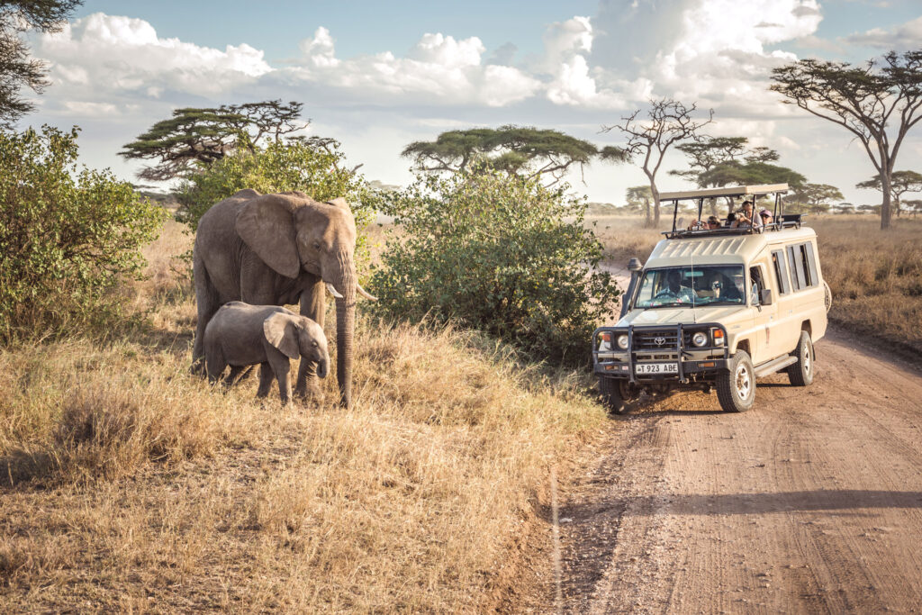 Tanzania Wheelchair Safari Guide