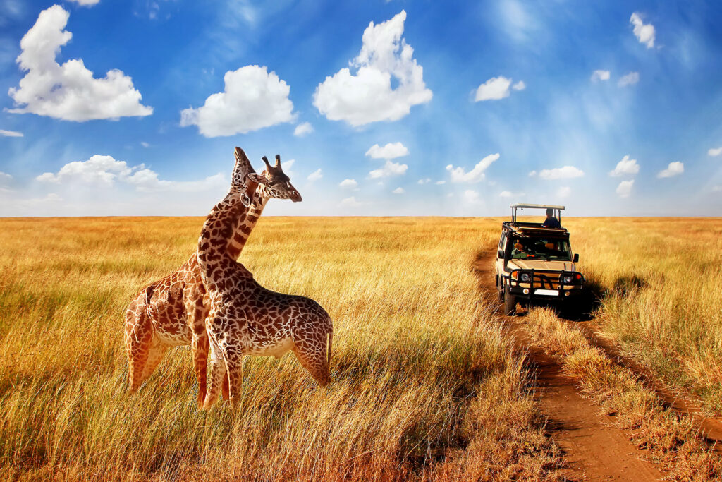 Tanzania: Why You Need to Visit the Land of Safari in 2025
