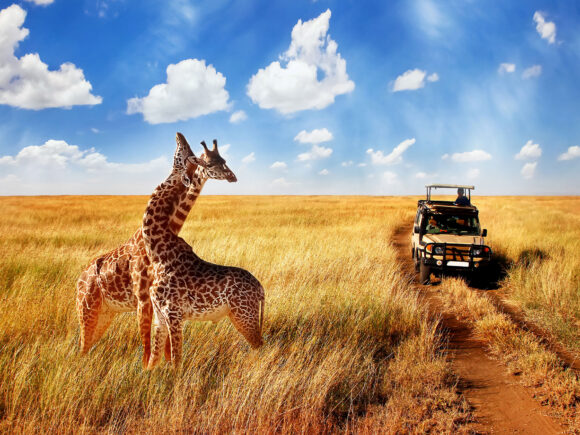 Tanzania: Why You Need to Visit the Land of Safari in 2025