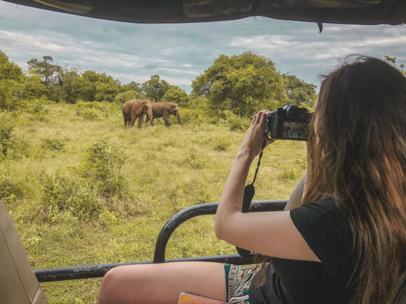 Tanzania Wildlife – Where to Spot Them on Safari