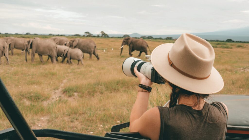 Tanzania’s Best Safari Experiences with I Artist Adventure